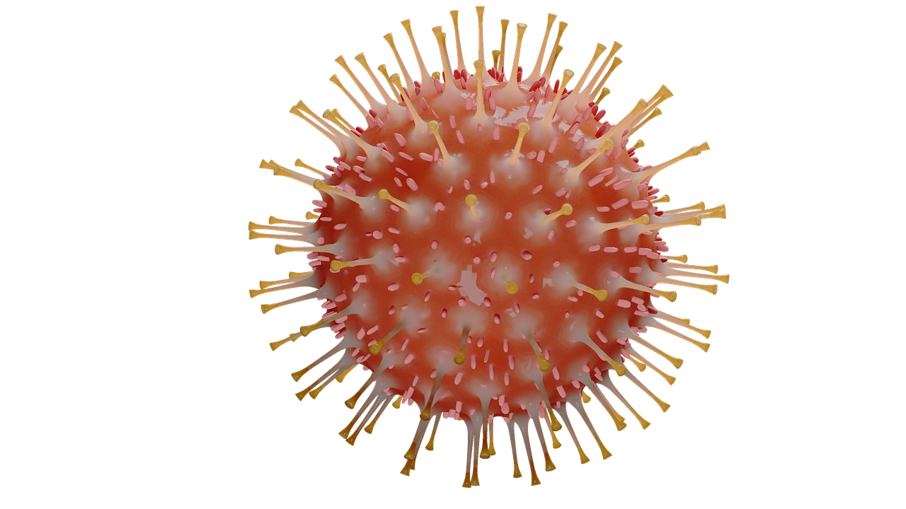 Increase in Measles Cases is Alarming
